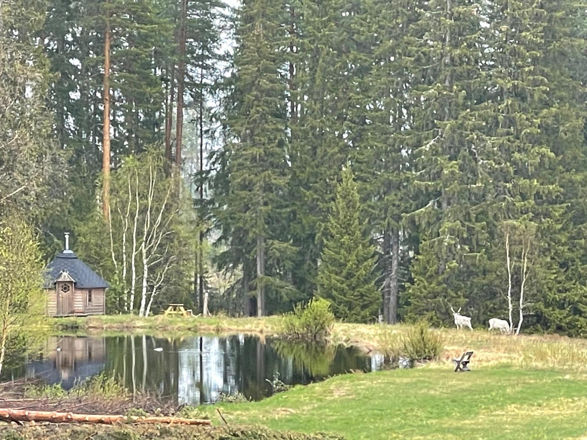 Dalsvallen Sveg Exterior foto